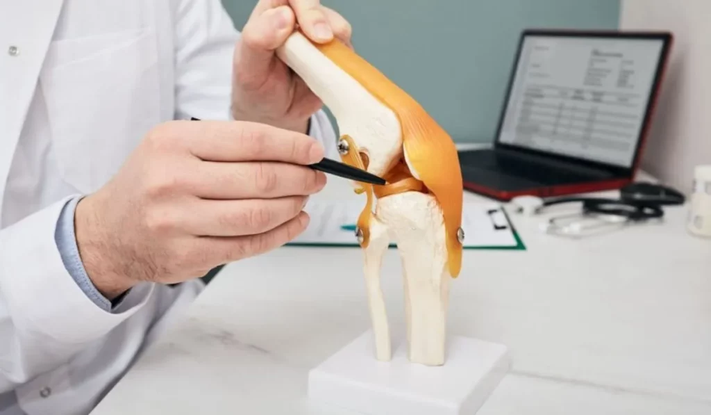 Understanding Knee Cartilage
