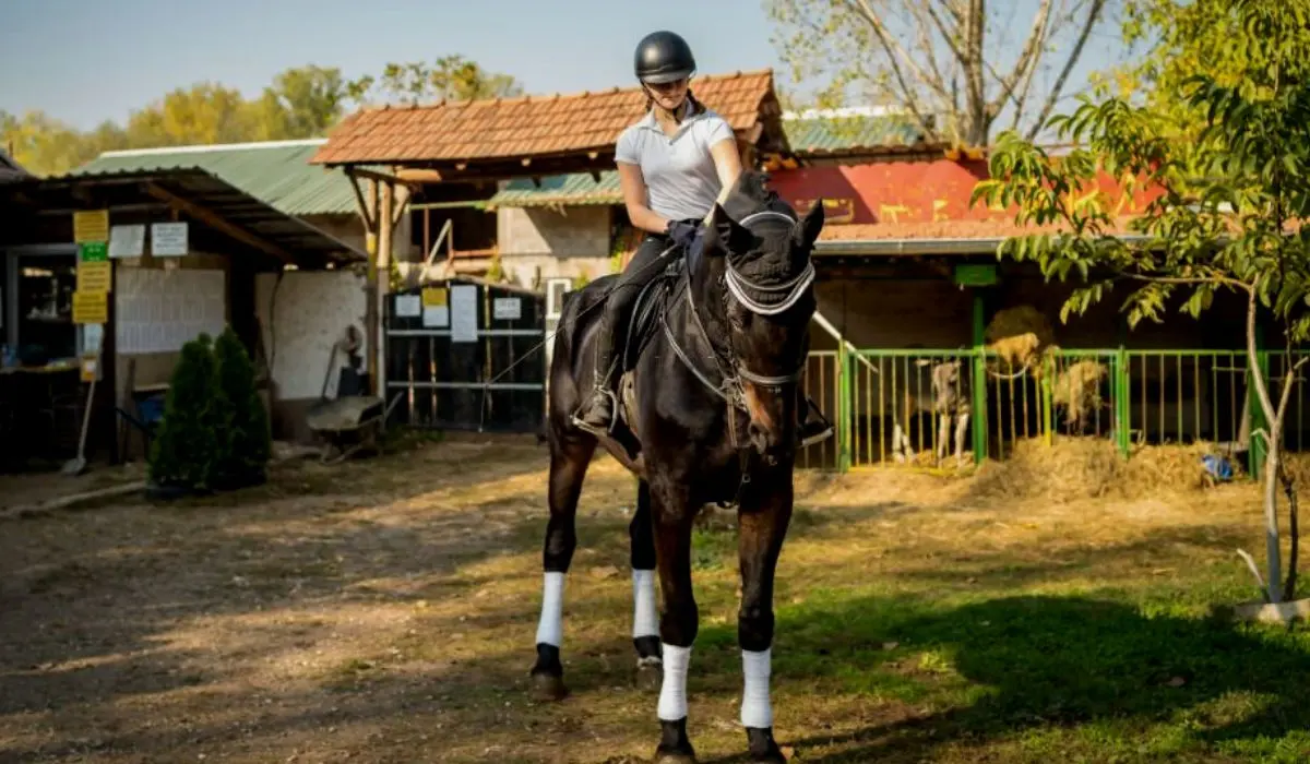 Equestrian Athlete Rehabilitation