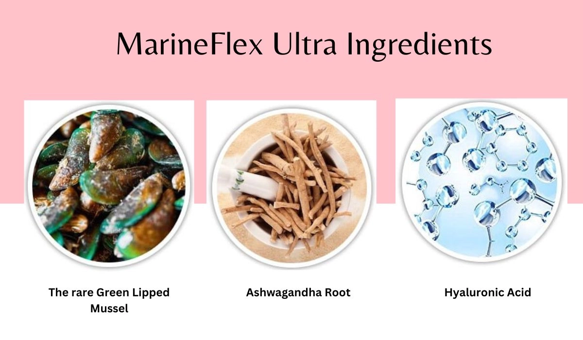 MarineFlex Ultra Ingredients