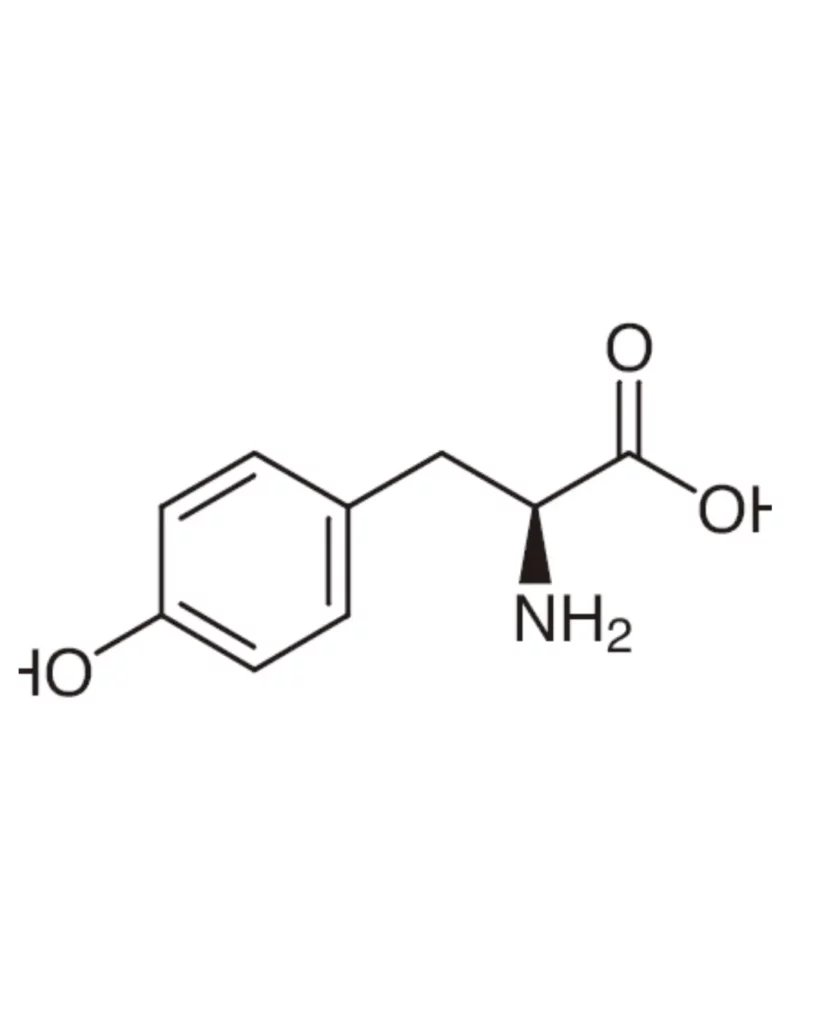 L-Tyrosine