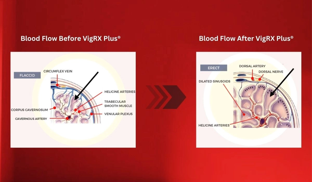 VigRX Plus Before And After