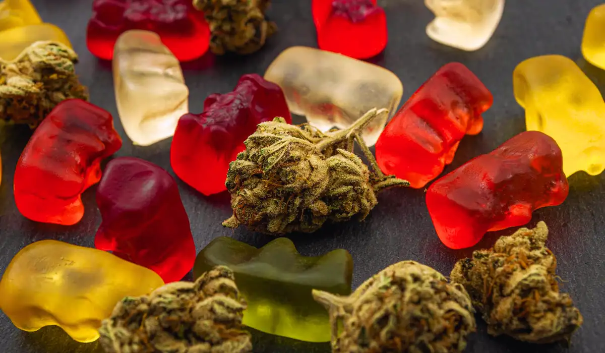 Edibles Stay In Your System
