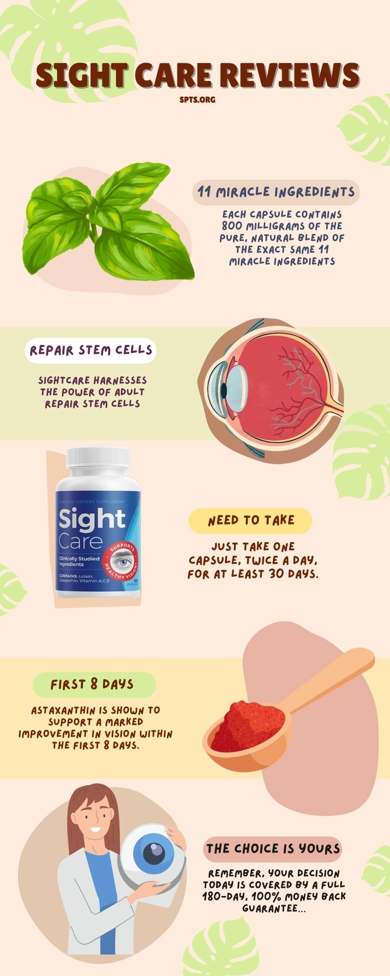 Sight Care Infographic