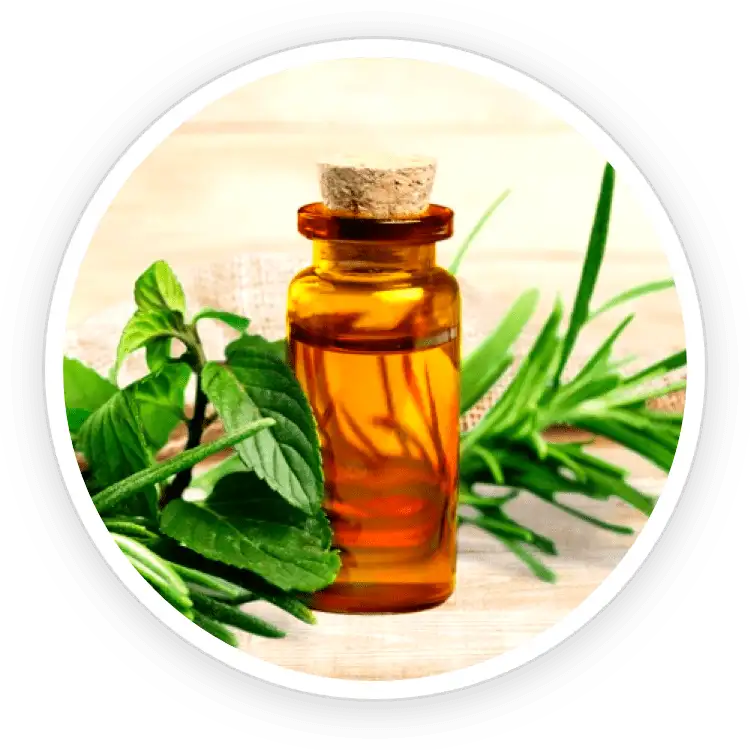 Tea Tree Oil