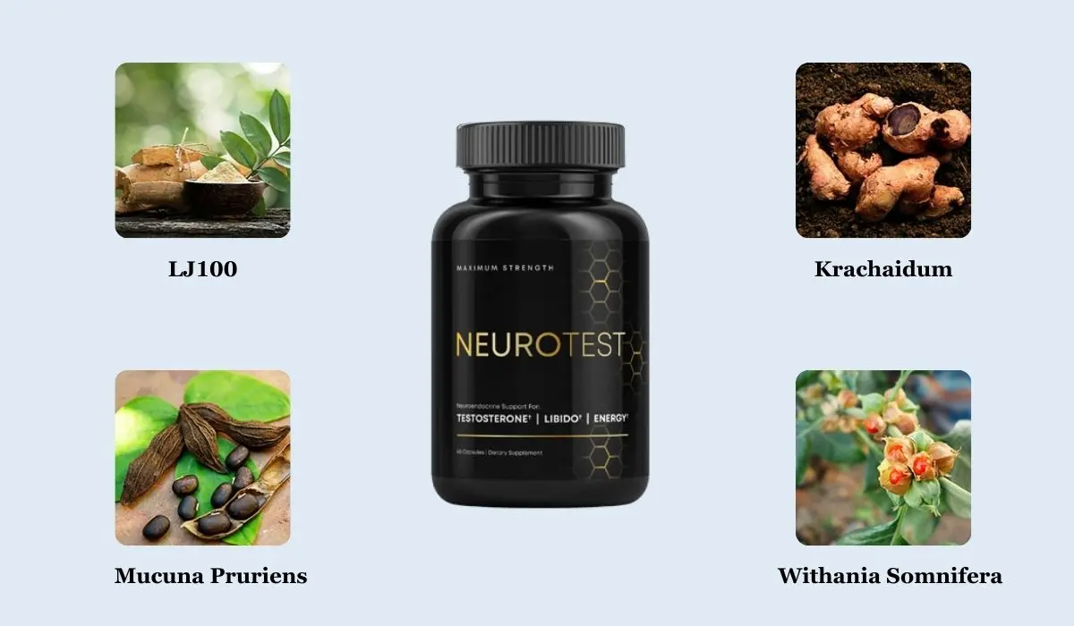 Neurotest Ingredients