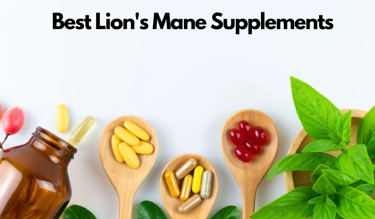 Best Lion's Mane Supplements