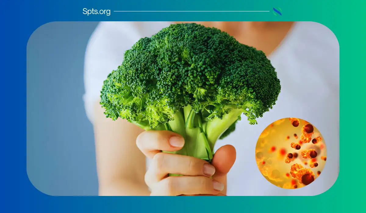 Broccoli Kills Cancer Cells